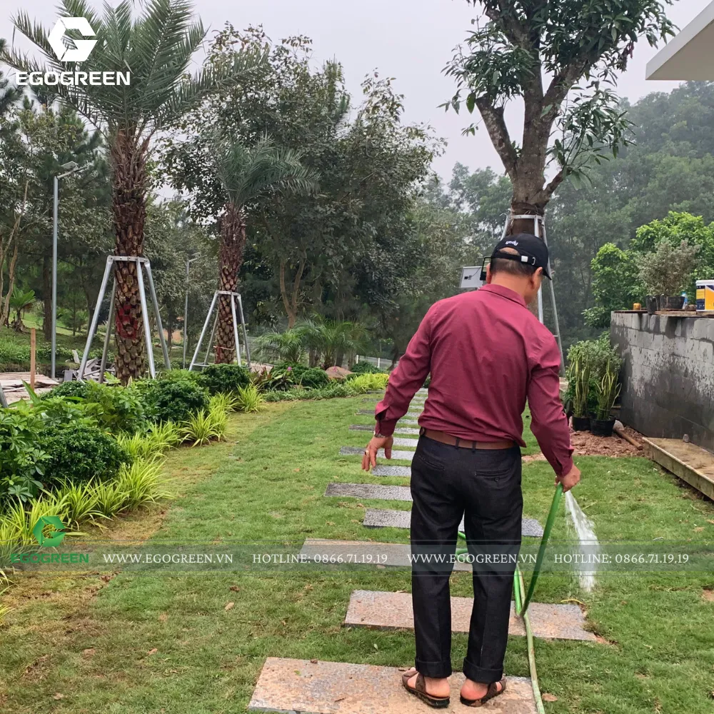 EGOGREEN lắp đặt hệ thống đèn để khu vườn lung linh hơn.